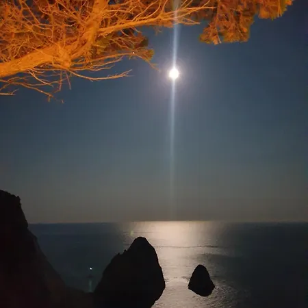 Olives House בית נופש