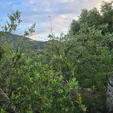 Olives House בית נופש קרי